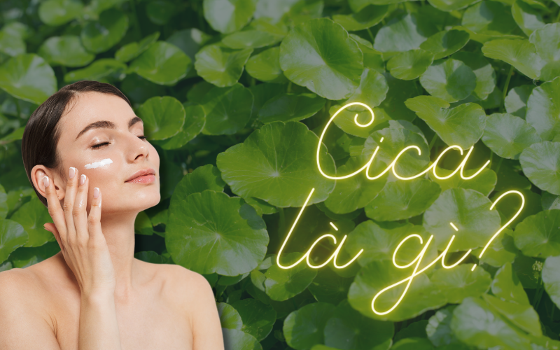 Cica là gì? Ý nghĩa của nó đối với làn da