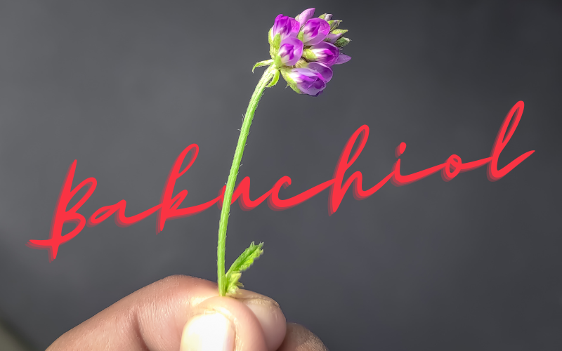 Hoạt chất Bakuchiol là gì? Lợi ích đối với làn da