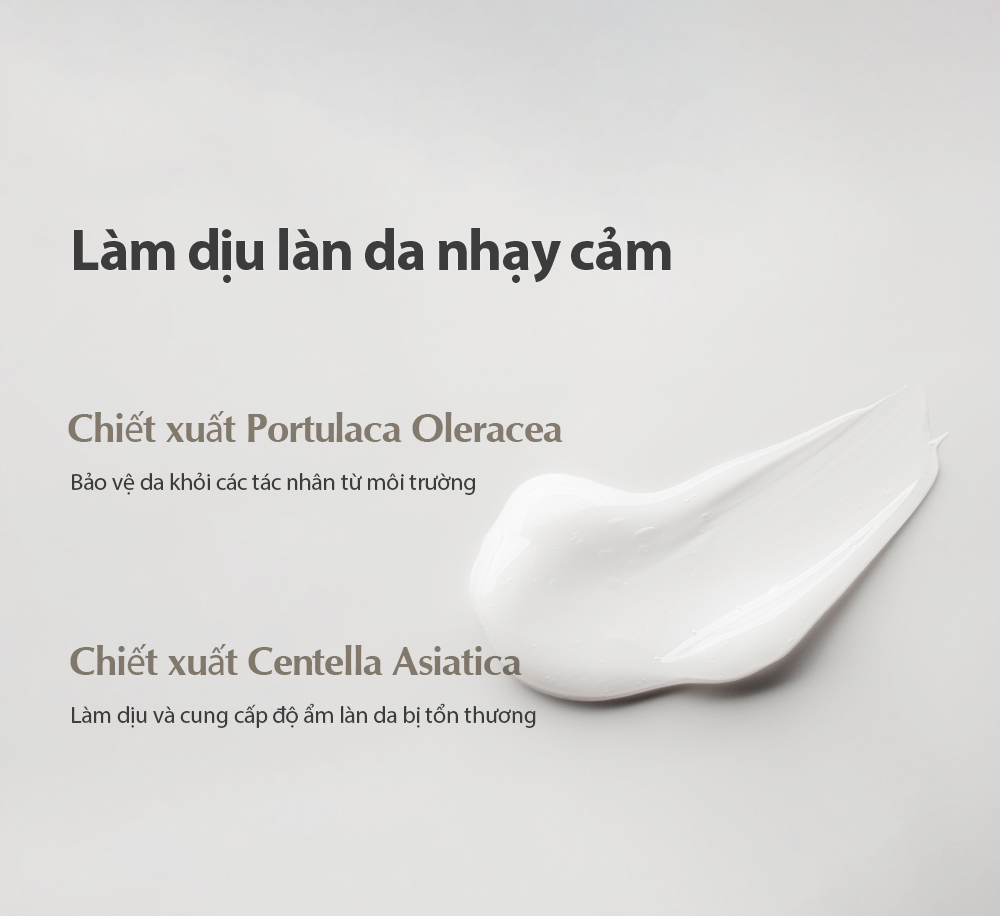 Kem dưỡng thuần chay Elravie Zero Hyalmide Moisture Cream 100ml - Ảnh 2
