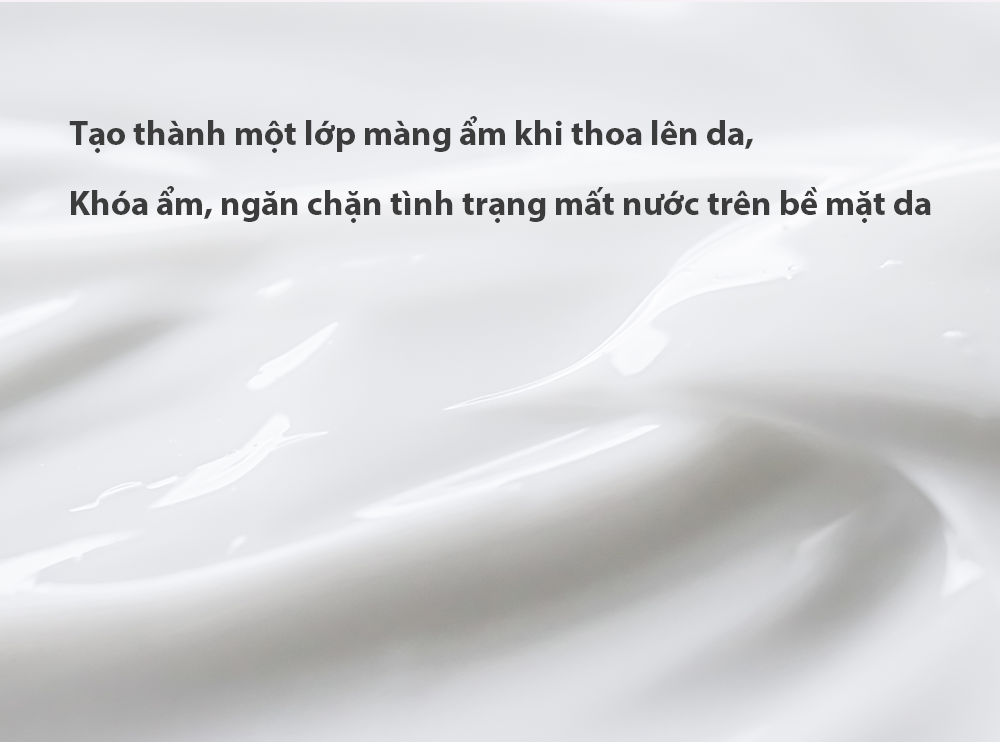Kem dưỡng thuần chay Elravie Zero Hyalmide Moisture Cream 100ml - Ảnh 5