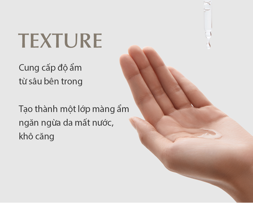 Tinh chất dưỡng da thuần chay Elravie Zero Hyalmide Ampoule 50ml - Ảnh 5