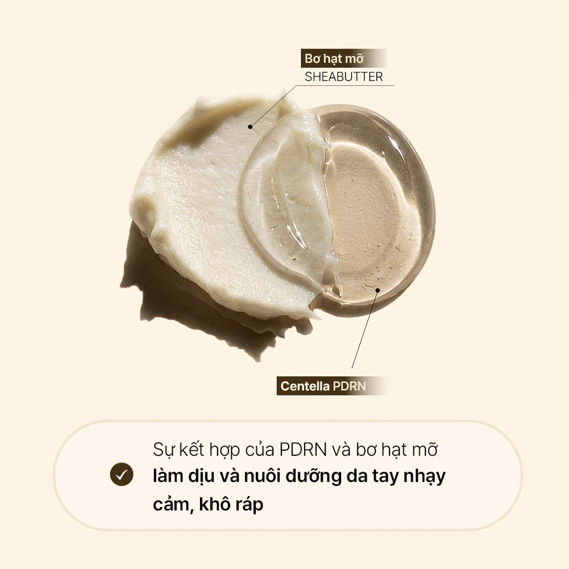 Kem Dưỡng Da Tay Elravie PDRN Hand Cream 50ml - Ảnh 4